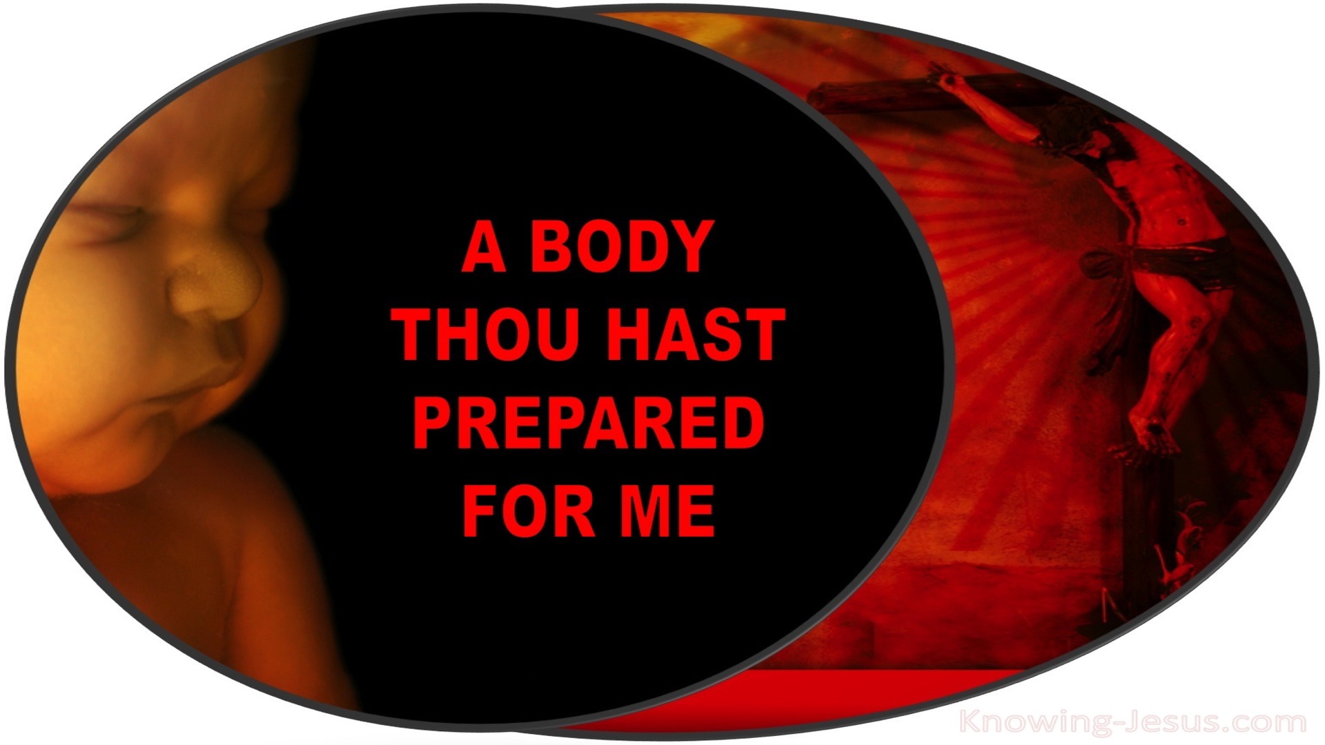 Hebrews 10:5 A Body You Have Prepared (white)